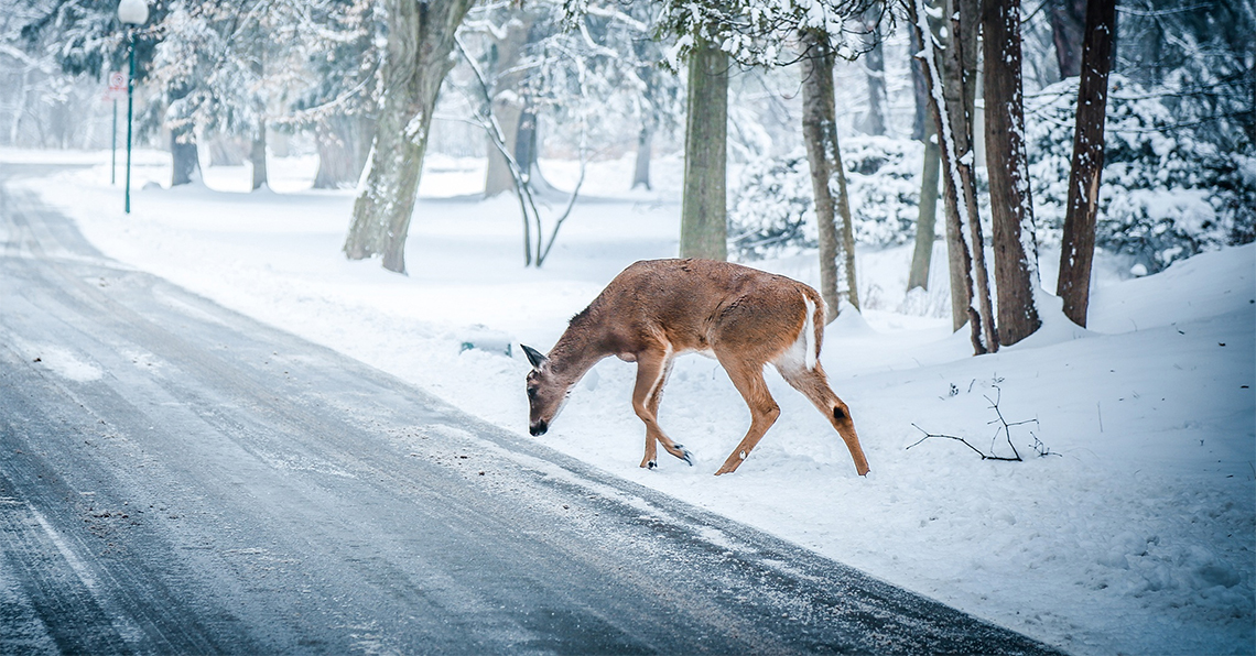 Winter Driving Safety Tips